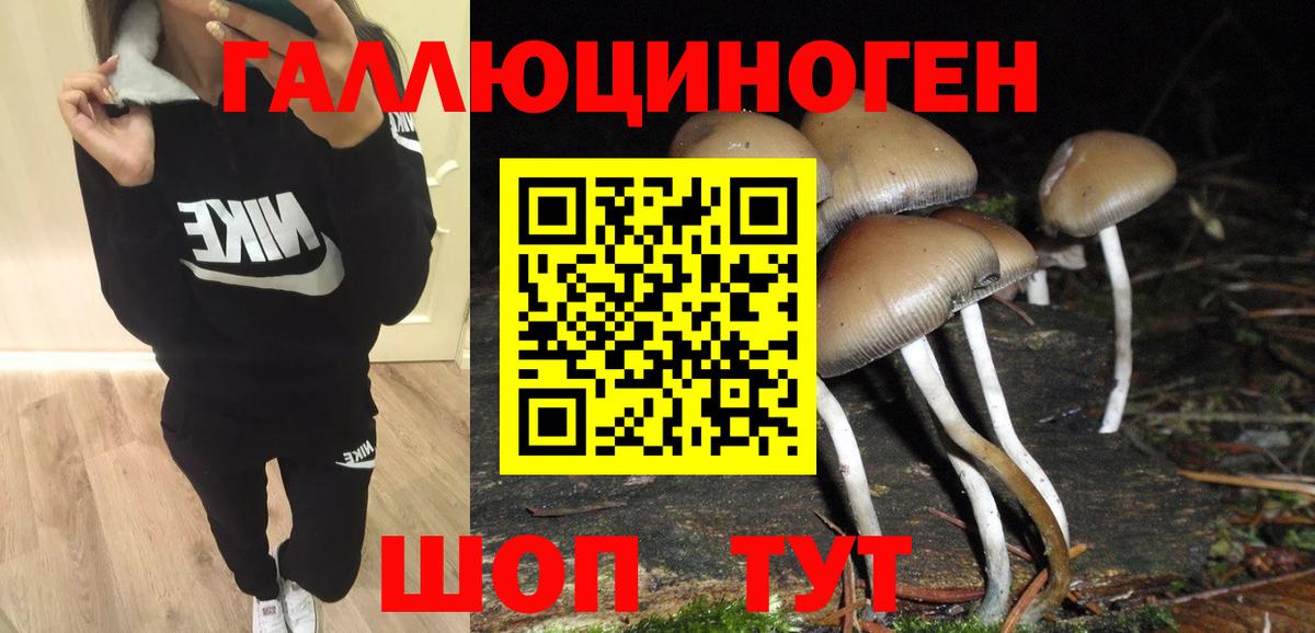 Галлюциногенные грибы Psilocybe Серов