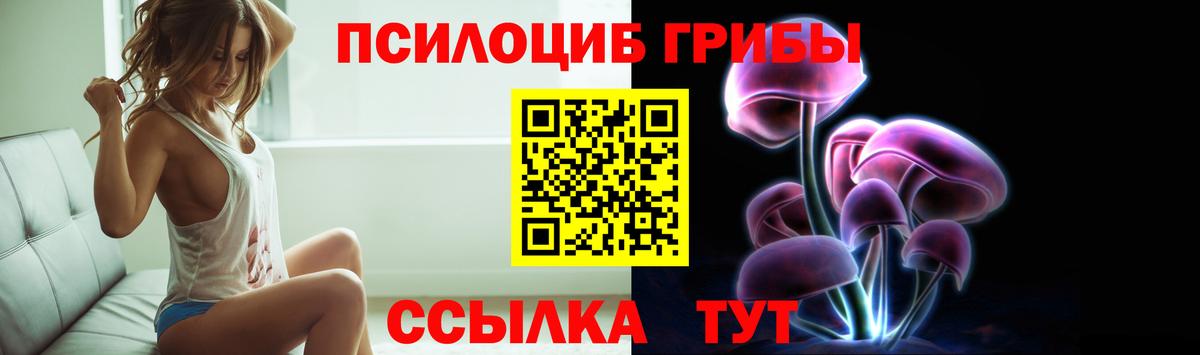 Псилоцибиновые грибы прущие грибы  Вход с VPN  магазин    Псилоцибиновые грибы мицелий  Серов 